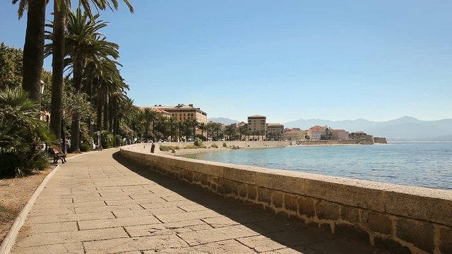 Ajaccio old city center coastal cityscape with palm trees and typical old houses, Corsica, France, Europe.