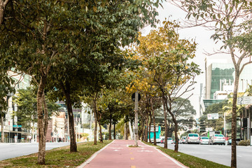 Fototapeta na wymiar Bike Path in the Streets of Sao Paulo, Brazil (Brasil)