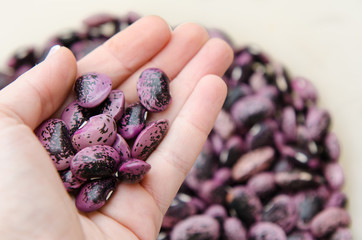 Styrian scarlet runner beans