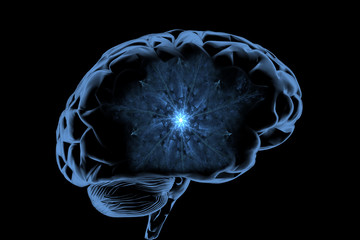 cerebro cuantico