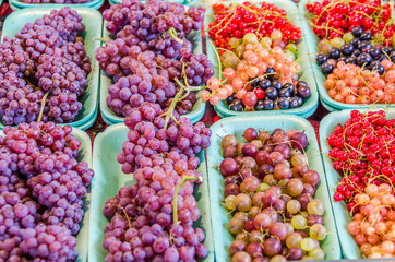 Fresh on the vine grapes, red and black currants, and gooseberries on display at farmers market 
