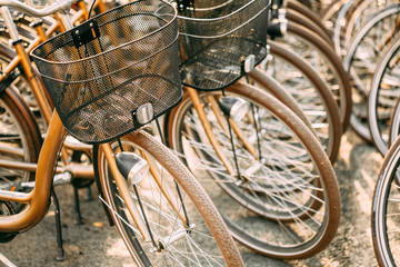 Fototapeta na wymiar Close Up Of Wheel Of Bicycles On Parking In City. Sunlight Sunshine Through Spokes Of Wheel.