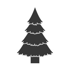 pine tall nature tree icon silhouette. vector illustration