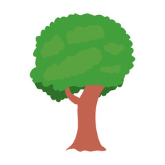 green tree tall natural plant and brown trunk. vector illustration