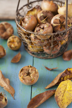 Medlars in Wire Basket