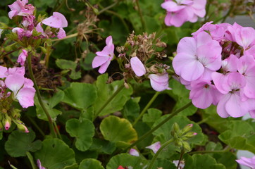 한강 선유도공원