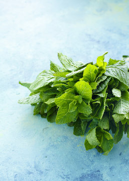 Bunch of mint leaves