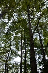 한강 선유도공원