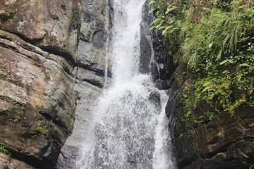 La Coca Waterfall at El Yunque Rainforest, PR