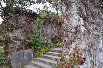 한강 선유도공원