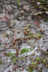 한강 선유도공원