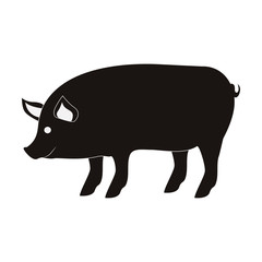 Pig icon. Animal farm and nature theme. Isolated design. Vector illustration
