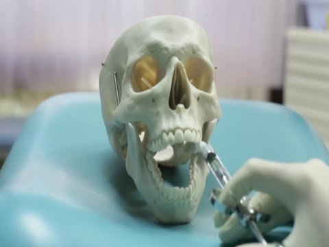 anesthesia equipment on the upper jaw