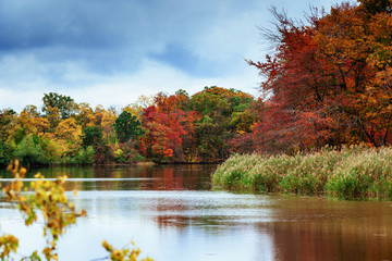autumn landscape in park with river and blue sky