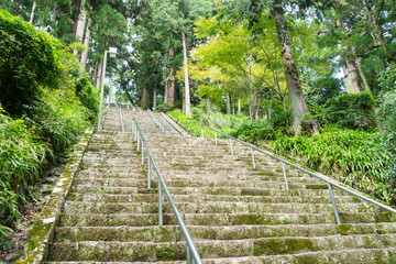 Obraz premium Kuonji Bodaitei