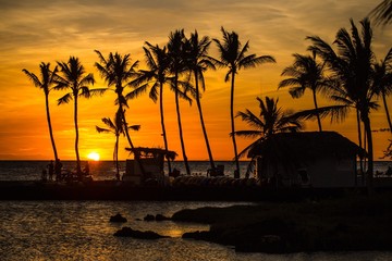Sunset with coconuts