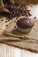 Cupcake on fabric  with coffee beans background.