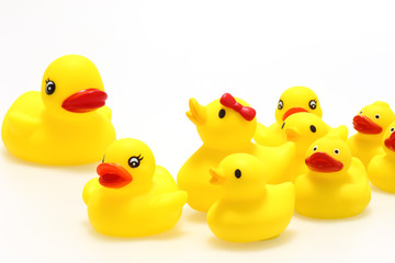 かわいいアヒルのおもちゃ