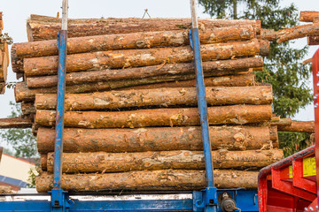 Holztransporter