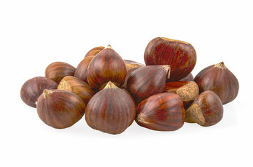 Obraz na płótnie Canvas Castanea sativa, sweet chestnut