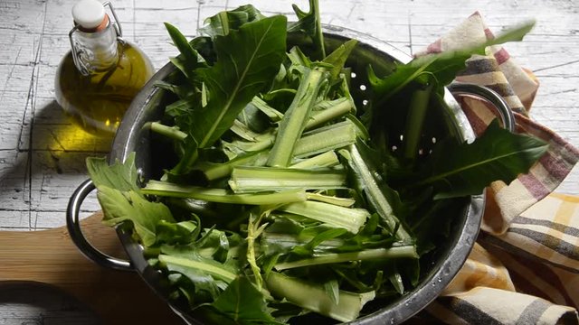 Cichorium intybus Cikorija Cicoria Chicory 菊苣 Gemeine Wegwarte Almindelig هندباء برية Cikorie Navadni צמח potro&scaron;nik עולש 