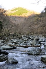 Obraz premium 朝の渓流