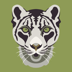 snow leopard head face vector illustration style Flat
