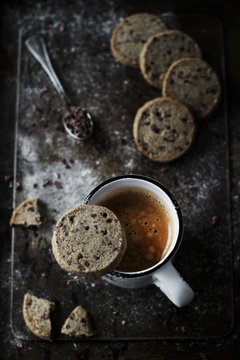 Nibby buckwheat sables