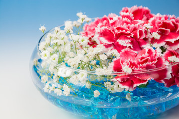 カーネーションの花