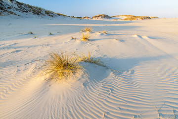 beautiful view of the coastal dunes