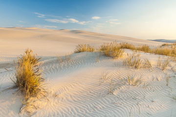 Fototapeta na wymiar beautiful view of the coastal dunes