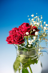 薔薇の花