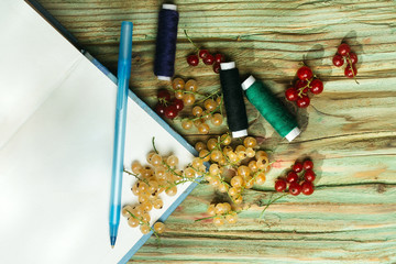 Pen fresh currant and diary