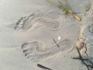 Fototapeta na wymiar Footprint at beach