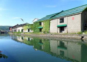 Fototapeta na wymiar Reflection of The Old Warehouse along Otaru Canal with a Flying Seagull, Popular Tourist Spot in Otaru Town of Hokkaido, Japan