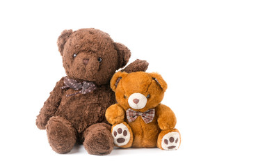 two teddy bear hugging isolated