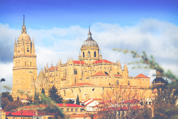  Salamanca Cathedral in autumn