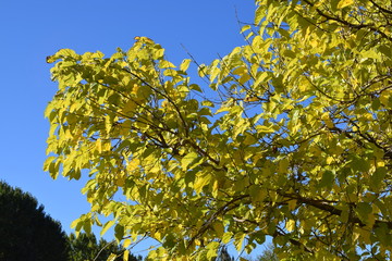 Otoño.