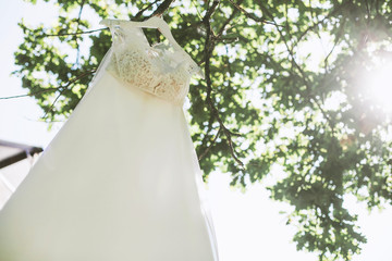 Bride`s accessories: wedding dress on a tree