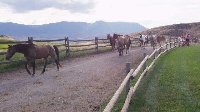 Slow motion - Horses trotting in fenced lane with pasture in background.  Young girls take photos as horses pass by.