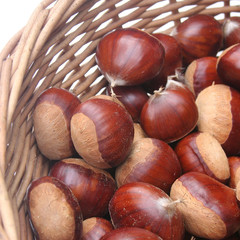 Obraz premium castagne in un cesto su sfondo bianco