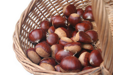castagne in un cesto su sfondo bianco