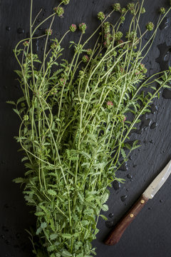 Herbs fresh from the market on slate board. Top view