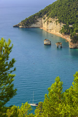 The most beautiful coasts of Italy:Zagare (or Mergoli) Bay  (Apulia).The beaches offer a breathtaking view with brigthly white karstic cliffs,emerald-blue sea,lush greenery of olive-trees,pine-woods.