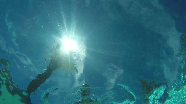 man swims view from under the water, the sun's rays