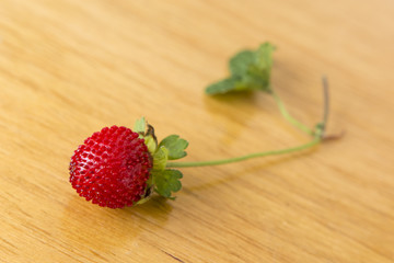 Indian strawberry.