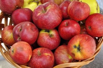 beautiful red apples