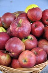 Fototapeta na wymiar beautiful red apples