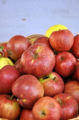 beautiful red apples