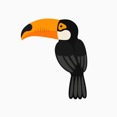 Illustration of funny Toucan from the back